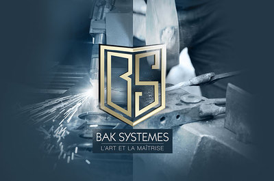 Bak Systemes Vignette